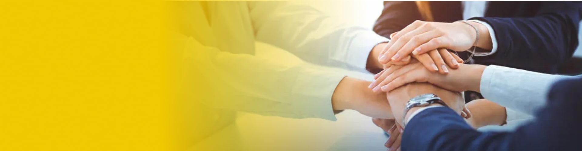 乐鱼leyu智能科技丨AI+3D相机和机器视觉科技公司